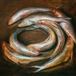 Oil Sketch, circle of fish 2