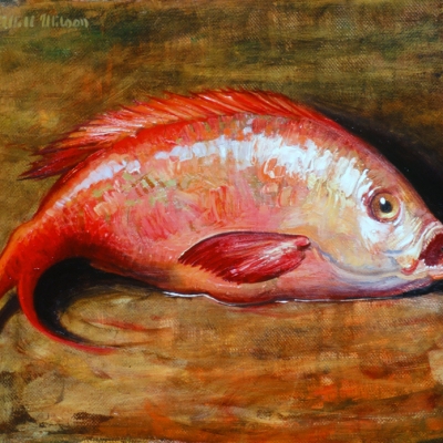 Oil-Sketch-Red-Snapper-
