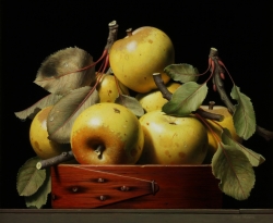 Golden Delicious 2015 10 1/2 x 12 1/2" oil on panel
