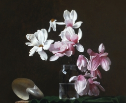 Magnolia Blossoms  1985  42 x 31"  oil on linen