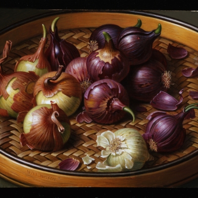 Onions-2001-6x822-oil-on-panel