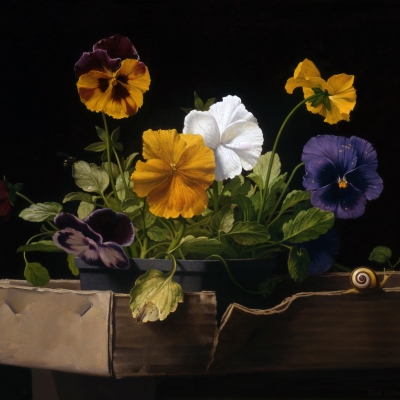 Pansies-1987-12x1422-oil-on-canvas