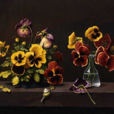 Pansies-1990-16x20-oil-on-linen